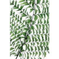Photocircle Poster / Leinwandbild - Summer Branches 4