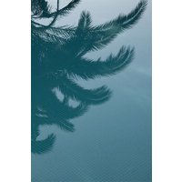Photocircle Poster / Leinwandbild - Palms in the Pool