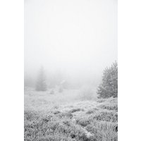 Photocircle Poster / Leinwandbild - The house in the forest