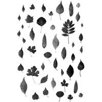 Photocircle Poster / Leinwandbild - Sign of Autumn - Black