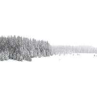 Photocircle Poster / Leinwandbild - White White Winter 1/2