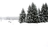 Photocircle Poster / Leinwandbild - White White Winter 2/2
