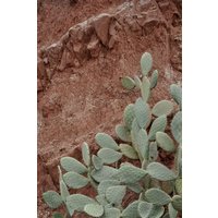 Photocircle Poster / Leinwandbild - Desert Mood