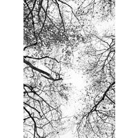Photocircle Poster / Leinwandbild - Reaching into the Sky