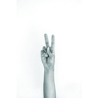 Photocircle Poster / Leinwandbild - Hands 5 - VEGAN - PEACE
