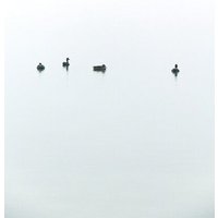 Photocircle Poster / Leinwandbild - Floating Between Fog and Sea