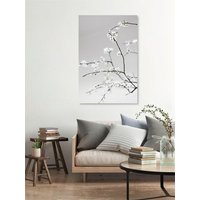 Photocircle Poster / Leinwandbild - Spring is in the Air