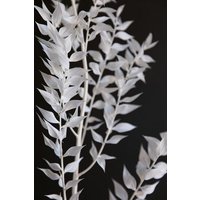 Photocircle Poster / Leinwandbild - MINIMAL black & white branch