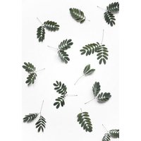 Photocircle Poster / Leinwandbild - The beauty of mother nature