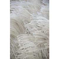 Photocircle Poster / Leinwandbild - white beige boho DREAMS - pampas
