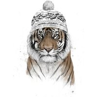 Photocircle Poster / Leinwandbild - Siberian tiger