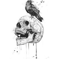 Photocircle Poster / Leinwandbild - New skull