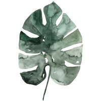 Photocircle Poster / Leinwandbild - Mantika Botanical Monstera Deliciosa Blatt