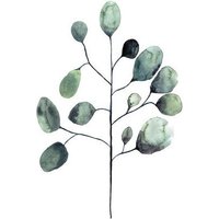 Photocircle Poster / Leinwandbild - Mantika Botanical Eukalyptus