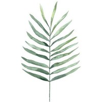 Photocircle Poster / Leinwandbild - Mantika Botanical Farn