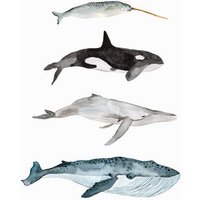 Photocircle Poster / Leinwandbild - Sea Life - Whales