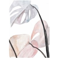 Photocircle Poster / Leinwandbild - Mantika Skandi Monstera