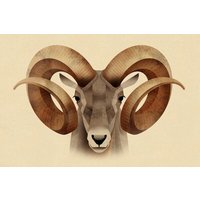 Photocircle Poster / Leinwandbild - Urial
