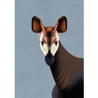 Photocircle Poster / Leinwandbild - Okapi
