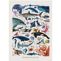 Photocircle Poster / Leinwandbild - Meerestiere