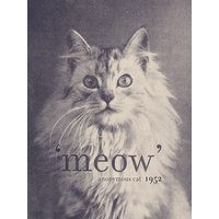 Photocircle Poster / Leinwandbild - Famous Quote Cat