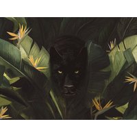 Photocircle Poster / Leinwandbild - Hello Panther !