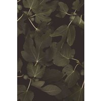 Photocircle Poster / Leinwandbild - Botanische Nacht