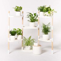 CitySens Blumenregal mit 6 Ablagen und automatischer Bewässerung. CitySens Blumenregal mit 6 Ablagen und automatischer Bewässerung.