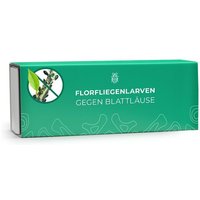 Silberkraft Florfliegenlarven - chemiefreie Alternative zu Pestiziden