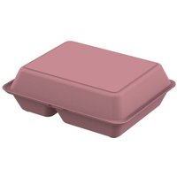REuse Menübox take away Verpackung - Essensbehälter to go large