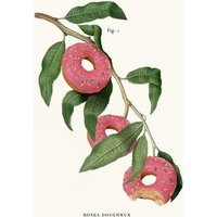 Photocircle Wandbild / Kunstdruck / Poster / Leinwand - Donut Plant