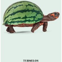 Photocircle Wandbild / Kunstdruck / Poster / Leinwand - Turmelon