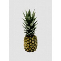 Photocircle Wandbild / Kunstdruck / Poster / Leinwand - Ananas
