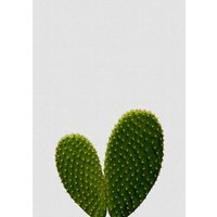 Photocircle Wandbild / Kunstdruck / Poster / Leinwand - Heart Cactus