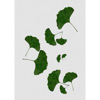 Photocircle Wandbild / Kunstdruck / Poster / Leinwand - Ginkgo Leaf I