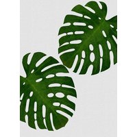 Photocircle Wandbild / Kunstdruck / Poster / Leinwand - Monstera Leaf II