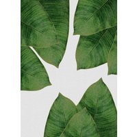 Photocircle Wandbild / Kunstdruck / Poster / Leinwand - Banana Leaf I