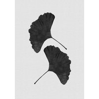 Photocircle Wandbild / Kunstdruck / Poster / Leinwand - Ginkgo Leaf Black & White II