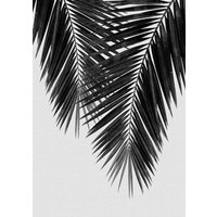 Photocircle Wandbild / Kunstdruck / Poster / Leinwand - Palm Leaf Black & White II