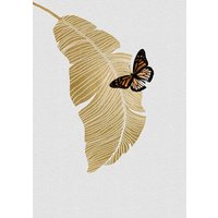 Photocircle Wandbild / Kunstdruck / Poster / Leinwand - Butterfly & Palm Leaf
