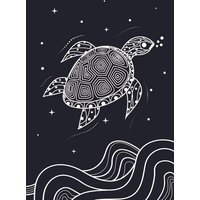 vis wear Turtle Poster