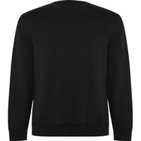 Roly Eco Unisex Sweatshirt Pullover Rundhals Sweater Pulli