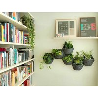 CitySens 6er-Pack Wand-Blumentopf mit Textilbezug und automatische Bewässerung CitySens 6er-Pack Wand-Blumentopf mit Textilbezug und automatische Bewässerung