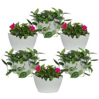 CitySens 6er-Pack Wand-Blumentopf mit automatischer Bewässerung