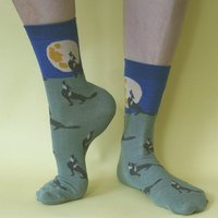 Fräulein Prusselise Wolfs Mond Socken, Story, blau, grün, bunt gemustert
