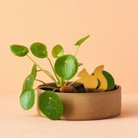 another studio Plant Animal - Design Pflanzendekoration - Figuren aus Messing