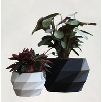 Greencult Pflanzenübertopf aus nachwachsenden Rohstoffen Greencult Pflanzenübertopf aus nachwachsenden Rohstoffen