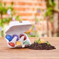 Osterblumen von  Osterblumen von