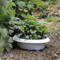 Andermatt Biogarten SchneckenStopp FE groß – wiederverwendbarer Schneckenkragen aus Stahl für größere Pflanzen im Garten und auf dem Balkon