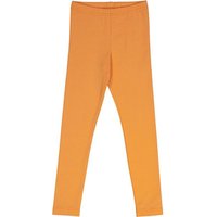 Fred`s World Leggings